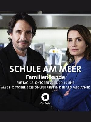 Schule am Meer - Familienbande streaming