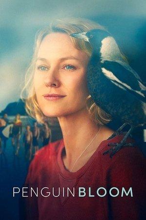 Penguin Bloom streaming