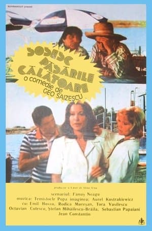 Sosesc păsările călătoare streaming