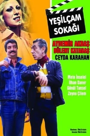 Yeşilçam Sokağı streaming