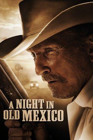 Une nuit au Vieux-Mexique streaming