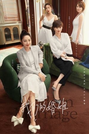 我们的婚姻 streaming