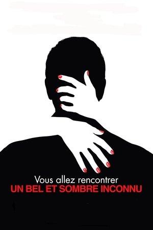 Vous allez rencontrer un bel et sombre inconnu streaming