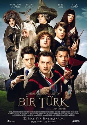 Sihirbazlık Okulunda Bir Türk streaming