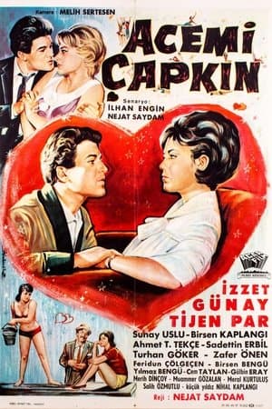 Acemi Çapkın streaming