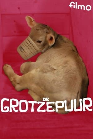 De grotzepuur streaming