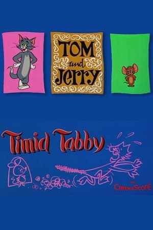 Timid Tabby streaming