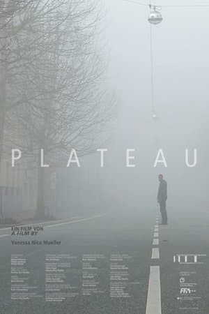 Plateau streaming