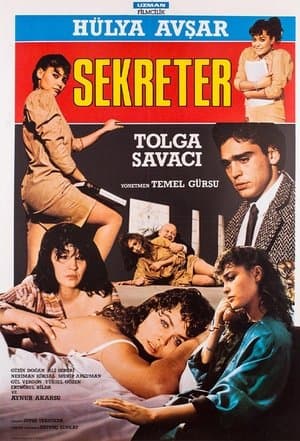 Sekreter streaming