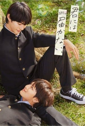 君には届かない streaming