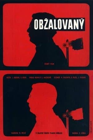 Obžalovaný streaming