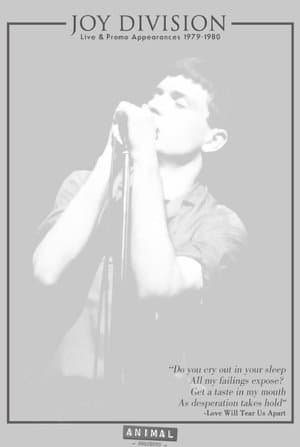 Joy Division: Live & Promo Appearances 1979-1980 streaming