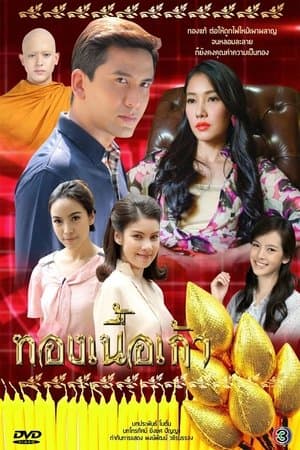 ทองเนื้อเก้า streaming