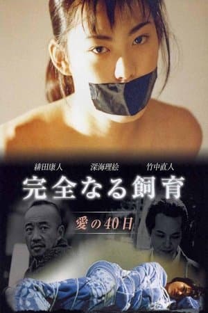 Perfect Education 2, 40 Days of Love streaming
