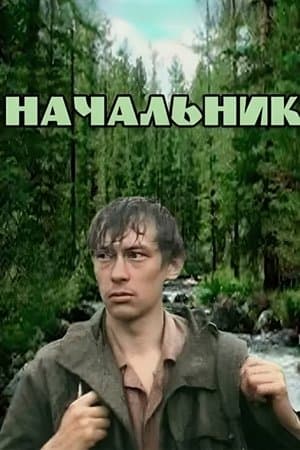 Начальник streaming