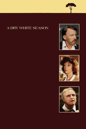 A Dry White Season streaming
