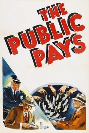 The Public Pays streaming