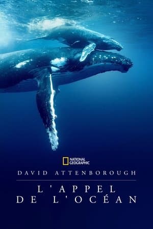 David Attenborough : L'Appel de l'Océan streaming