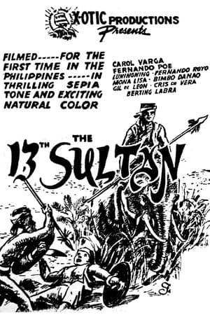 The 13th Sultan streaming