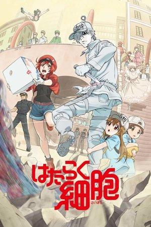 Cells at work! streaming