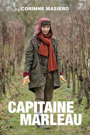 Capitaine Marleau streaming