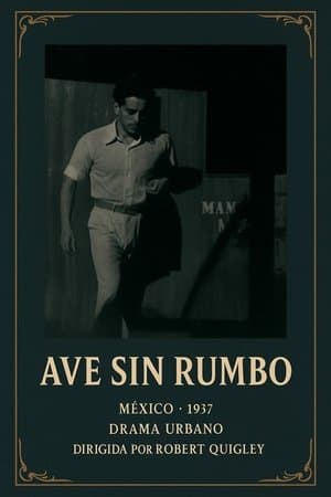 Ave sin rumbo streaming