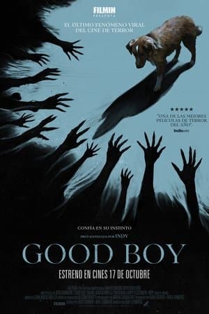 Good Boy streaming