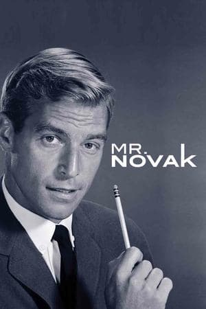 Mr. Novak streaming