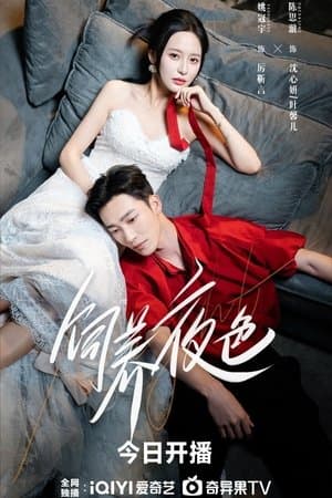 饲养夜色 streaming