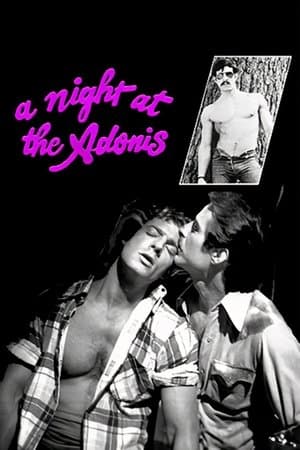 A Night at the Adonis streaming