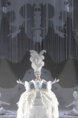 The Magic Flute streaming