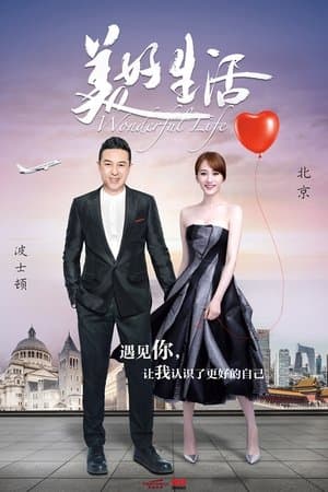 Wonderful Life streaming
