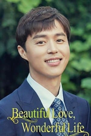 Beautiful Love, Wonderful Life streaming