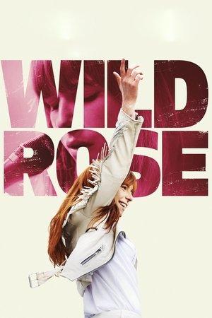 Wild Rose streaming