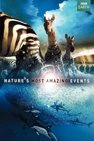Nature's Great Events streaming