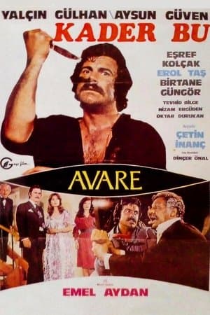 Kader Bu streaming