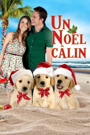 3 amis pour Noël streaming