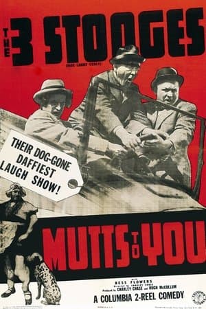 Mutts to You streaming