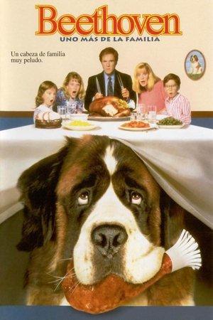 Beethoven: Uno más de la familia streaming
