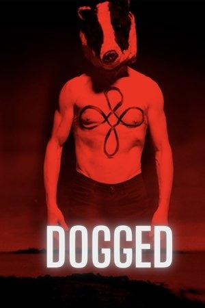 Dogged streaming