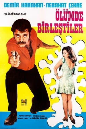 Ana Gibi Yar Olmaz streaming