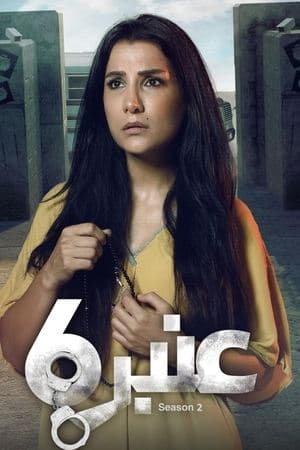 عنبر 6 streaming