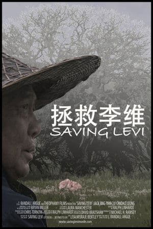 Saving Levi streaming