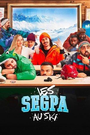 Les SEGPA au ski streaming