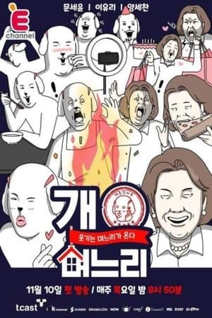 개며느리 streaming