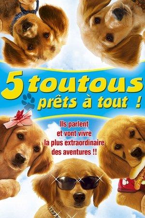 5 toutous prêts à tout streaming