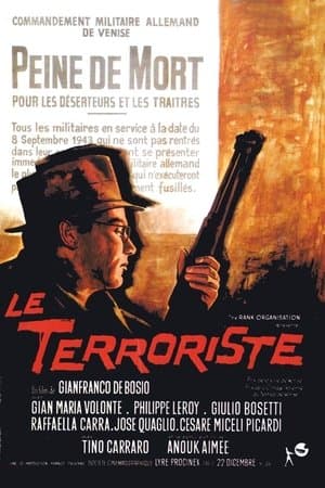 Le terroriste streaming