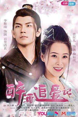 醉酒追爱记 streaming