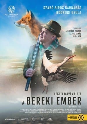 A bereki ember streaming
