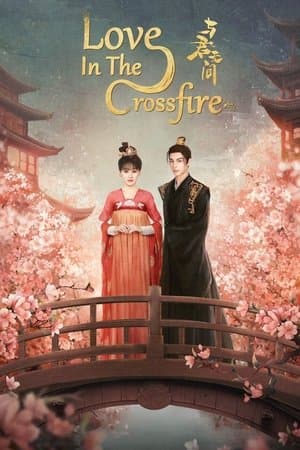 Love in the Crossfire streaming